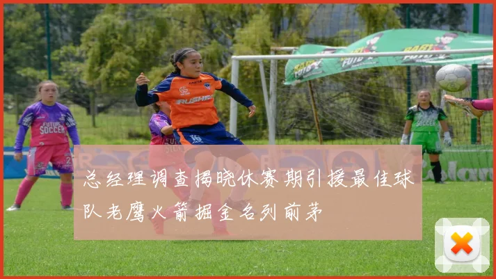 总经理调查揭晓休赛期引援最佳球队老鹰火箭掘金名列前茅