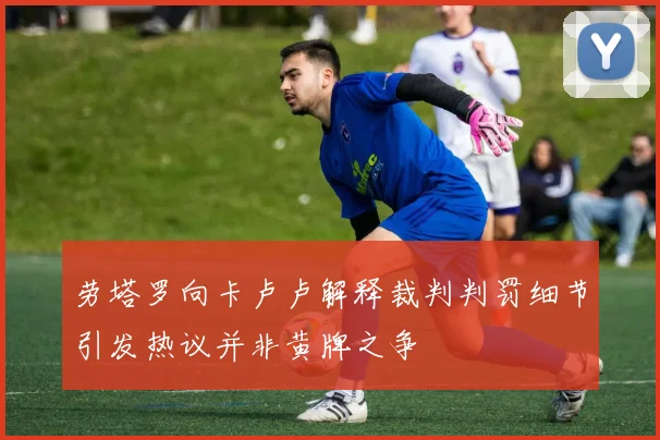 劳塔罗向卡卢卢解释裁判判罚细节引发热议并非黄牌之争