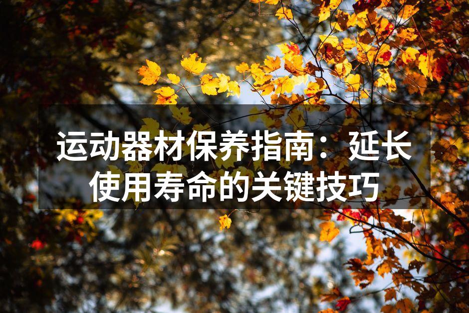 定期清洁器材,保持卫生。